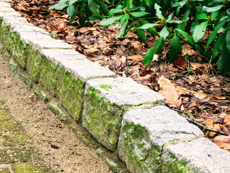 Landscape Curbing Service