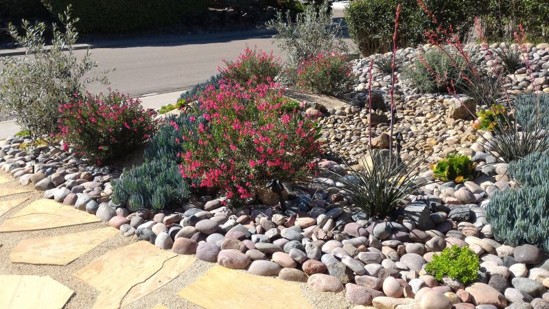Summer Hardscaping Considerations
